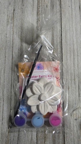 Plaster Art Kit