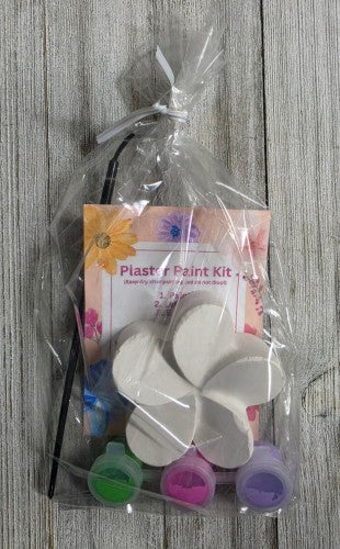 Plaster Art Kit